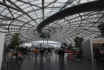 DSC_7082 (Large).JPG